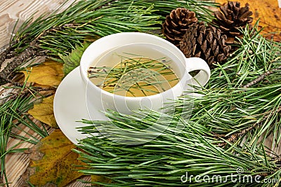 Pine Needles Tea, Healthy Winter Vitamin C Beverage Stock Photo