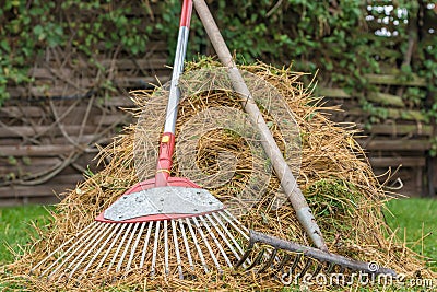 Pine needles were raked together in a heap Stock Photo