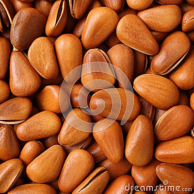 Pine nut Stock Photo