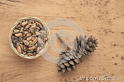 Pine nuts, kernels and cone on wooden table Stock Photo