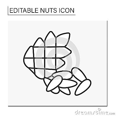 Pine nuts line icon Vector Illustration