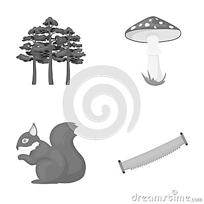 Pine, poisonous mushroom, tree, squirrel, saw.Forest set collection icons in monochrome style vector symbol stock Vector Illustration