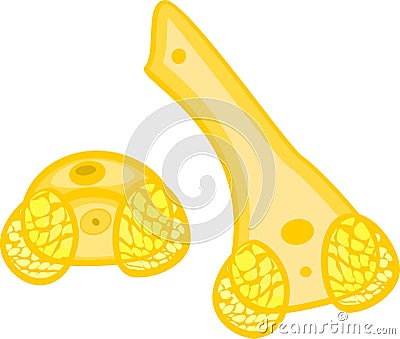 Pine Pollen grain with two sac wing, tube and generative cell Stock Photo