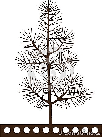 Pine tree Vector Illustration