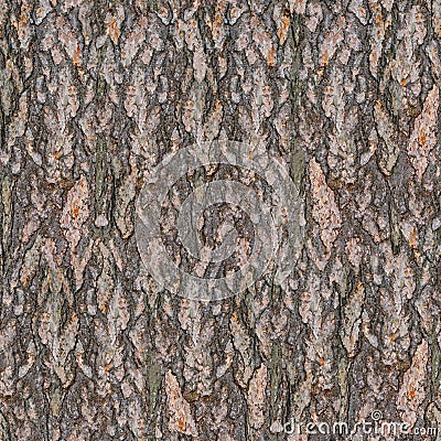 Pine Tree Bark Seamless Texture Stock Photo