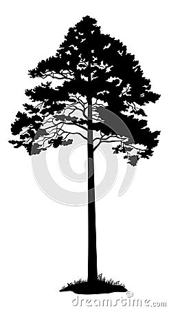 Pine Tree Black Silhouette Vector Illustration