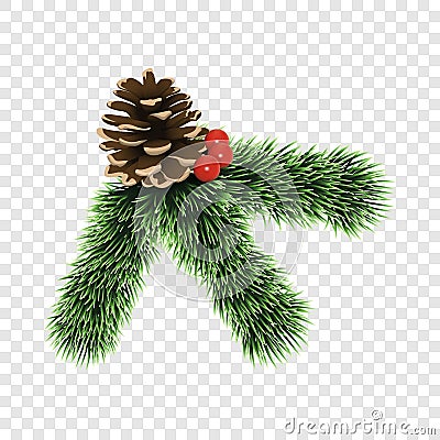 Pine tree branch icon, realistic style Vector Illustration