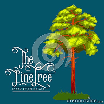 Pine Tree with branch and leafs in the wild forest outdoors. ecology natural wood. Forest green trees on the Vector Illustration