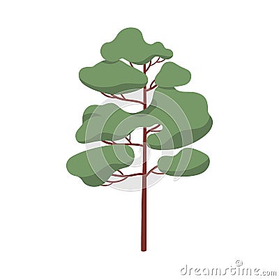 Pine tree, evergreen coniferous forest plant with trunk and crown. Green conifer. Stylized pinetree icon. Modern Vector Illustration