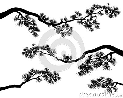 Pine tree long branches vector silhouette Vector Illustration