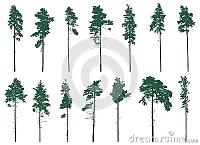Pine tree silhouette, set. Forest coniferous tree. Vector illustration Vector Illustration