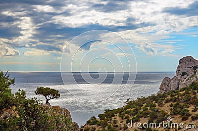 Seascape, the juniper tree on top of a cliff against the sea Stock Photo