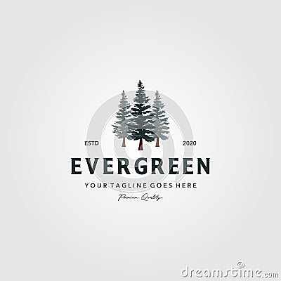 Pine tree vintage logo evergreen spruce fir vector emblem illustration design Vector Illustration