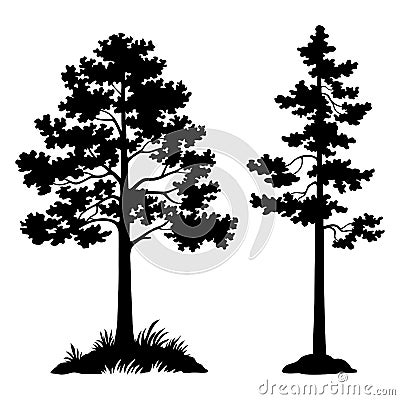 Pine Trees Black Silhouette Vector Illustration