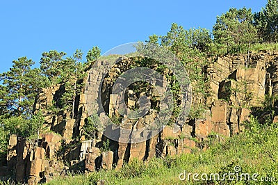 The pine trees that grew on dolerite rocks. A force of nature. The Eastern Siberia. Stock Photo