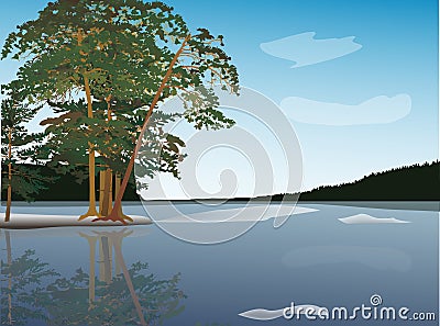 Pine trees near frozen lake illustration Vector Illustration