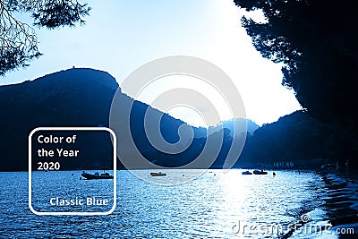 Pine trees on sea coast on sunset on classic blue color. Editorial Stock Photo