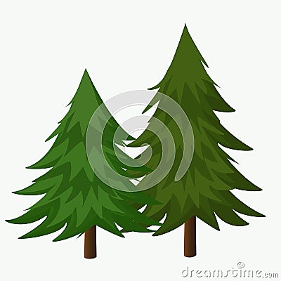 Pine Trees Vector Illustration.Coniferous Tree. Vector Illustration