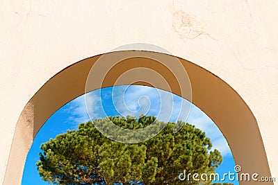 Pine treetop seen through concrete archway on sunny summer day Stock Photo