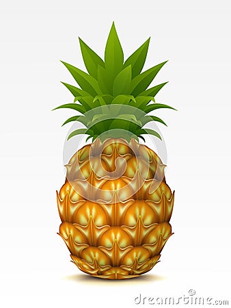 Pineapple Vector Illustration