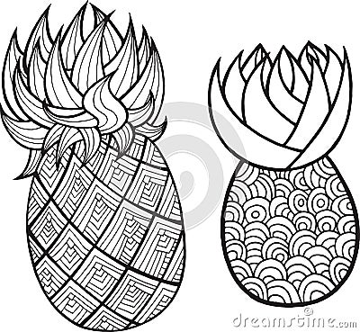 Pineapple and ananas coloring page. Graphic vector black and white art for coloring books for adults. Tropical and exotic fruit l Vector Illustration