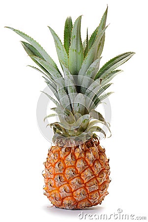 Pineapple ananas fruit Stock Photo