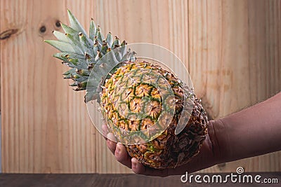 Pineapple being held Ripe pineapple being hold diagonally by a male caucasian hand with a wooden background. Stock Photo