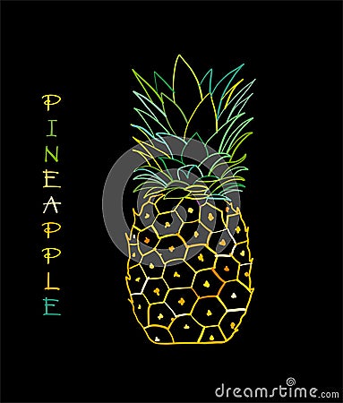 Pineapple colorful, sketch for your design Vector Illustration