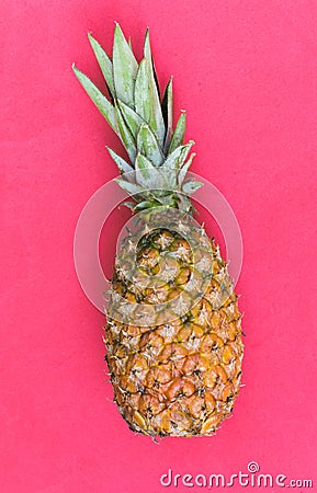 Pineapple, delicious exotic tropical fruit. Pink background Stock Photo