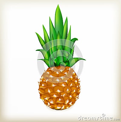 Pineapple Vector Illustration