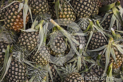 Pineapple fruit market in thailand , It's more palatable Stock Photo