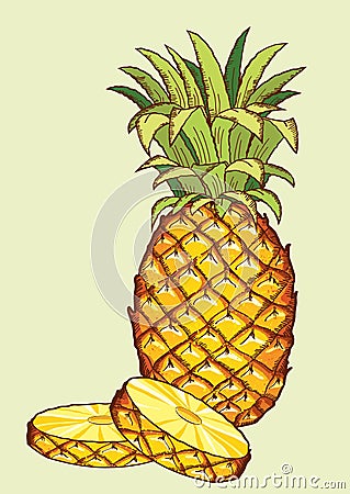 Pineapple fruit Vector Illustration