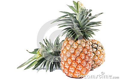 Pineapple Stock Photo