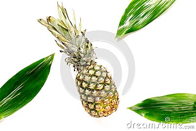 Pineapple and leaves on white background top view copyspace Stock Photo