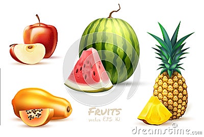 Pineapple papaya watermelon apple exotic fruit set Vector Illustration