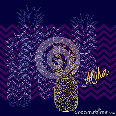 Pineapple poster, vector illustration. Hand drawn exotic tropical fruit in outline. Aloha means Hello in Hawaii Vector Illustration