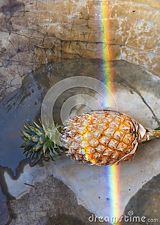 Pineapple with rainbow reflection light Stock Photo