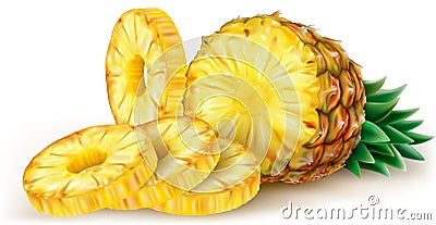 Pineapple and round slices Vector Illustration