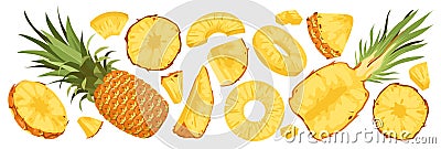 Pineapple set, isolated whole tropical fruit, cut in half, ripe pieces and juicy chunks Vector Illustration