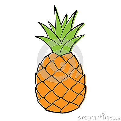 Pineapple. Vector Illustration