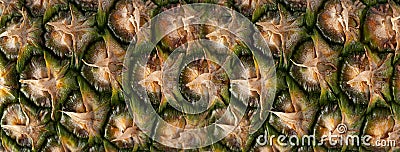 Pineapple Skin Texture Background, Ananas Pattern, Comosus Tropical Fruit Banner, Ripe Pine Apple Mockup Stock Photo