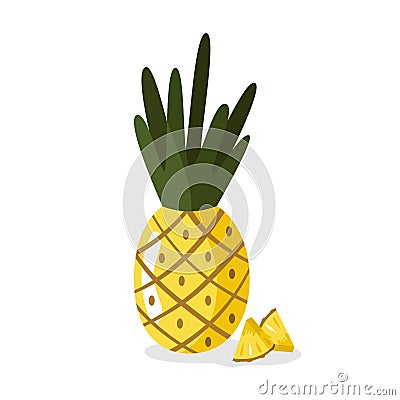 Pineapple with slices on isolated background. Vector cartoon ananas. Vector Illustration