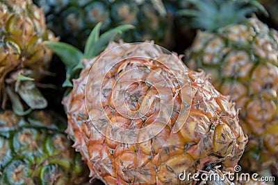 Pineapple sold at Mercado da Graca in Ponta Delgada on the island of Sao Miguel, Portugal Stock Photo