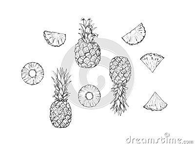 Pineapple, various pieces and slices Stock Photo