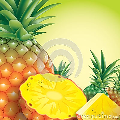 Pineapple vector illustration on green background. Vector Illustration