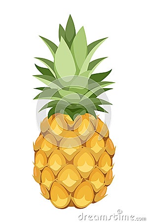 Pineapple. Vector illustration. Vector Illustration