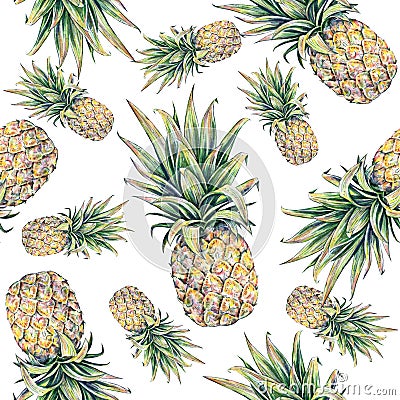 Pineapple on a white background. Watercolor colourful illustration. Tropical fruit. Seamless pattern Cartoon Illustration