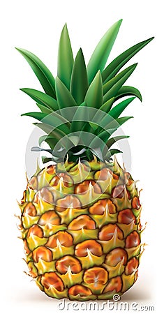 Pineapple Vector Illustration