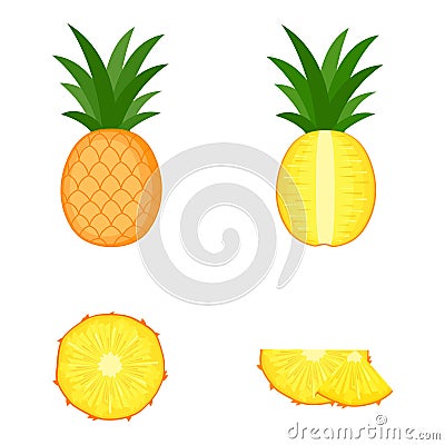 Pineapple, whole fruit, half and slices, vector illustration Vector Illustration