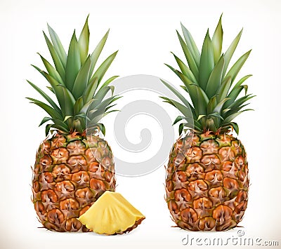 Pineapple. Whole and pieces. Sweet fruit. 3d vector icons set Vector Illustration